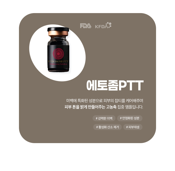 에토좀PTT