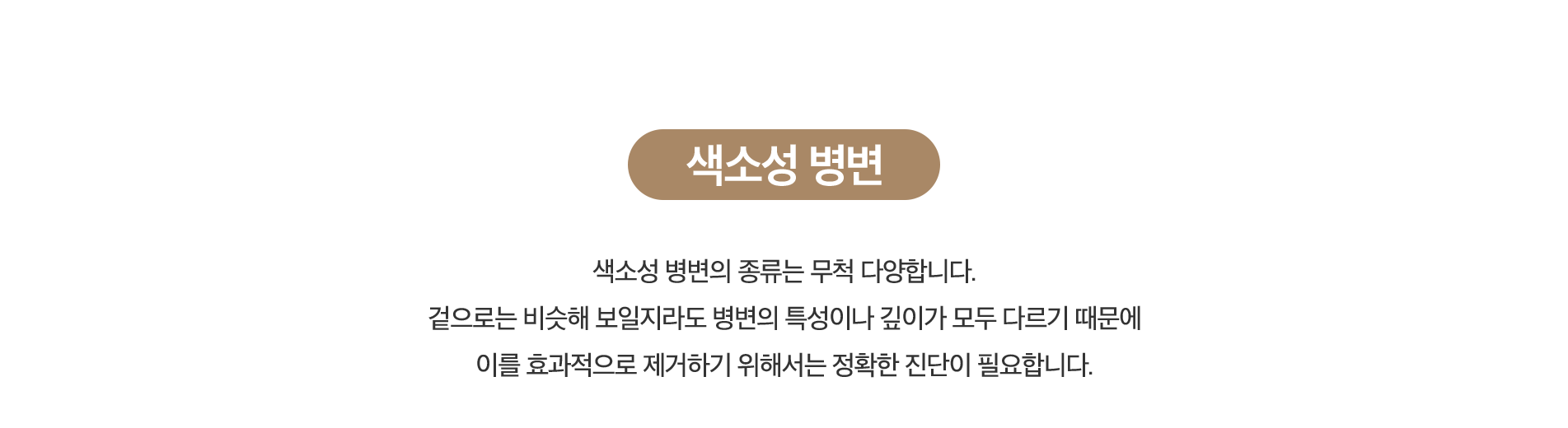 색소성 병변