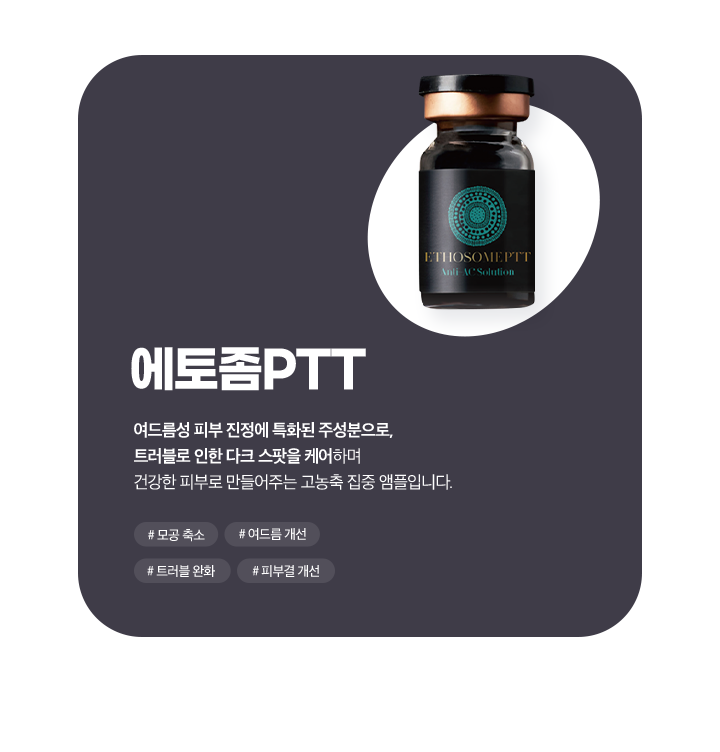 에토좀PTT