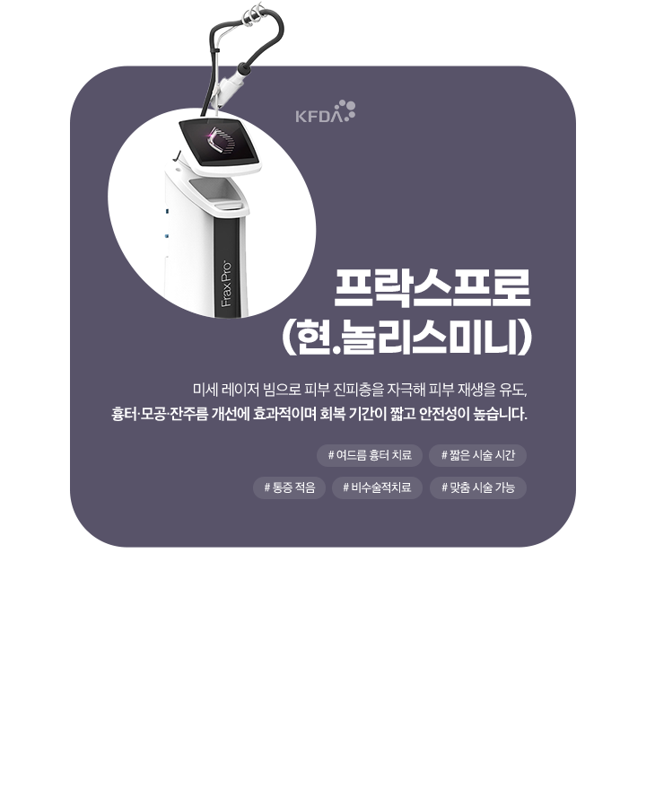 프락프로(현.놀리스미니)