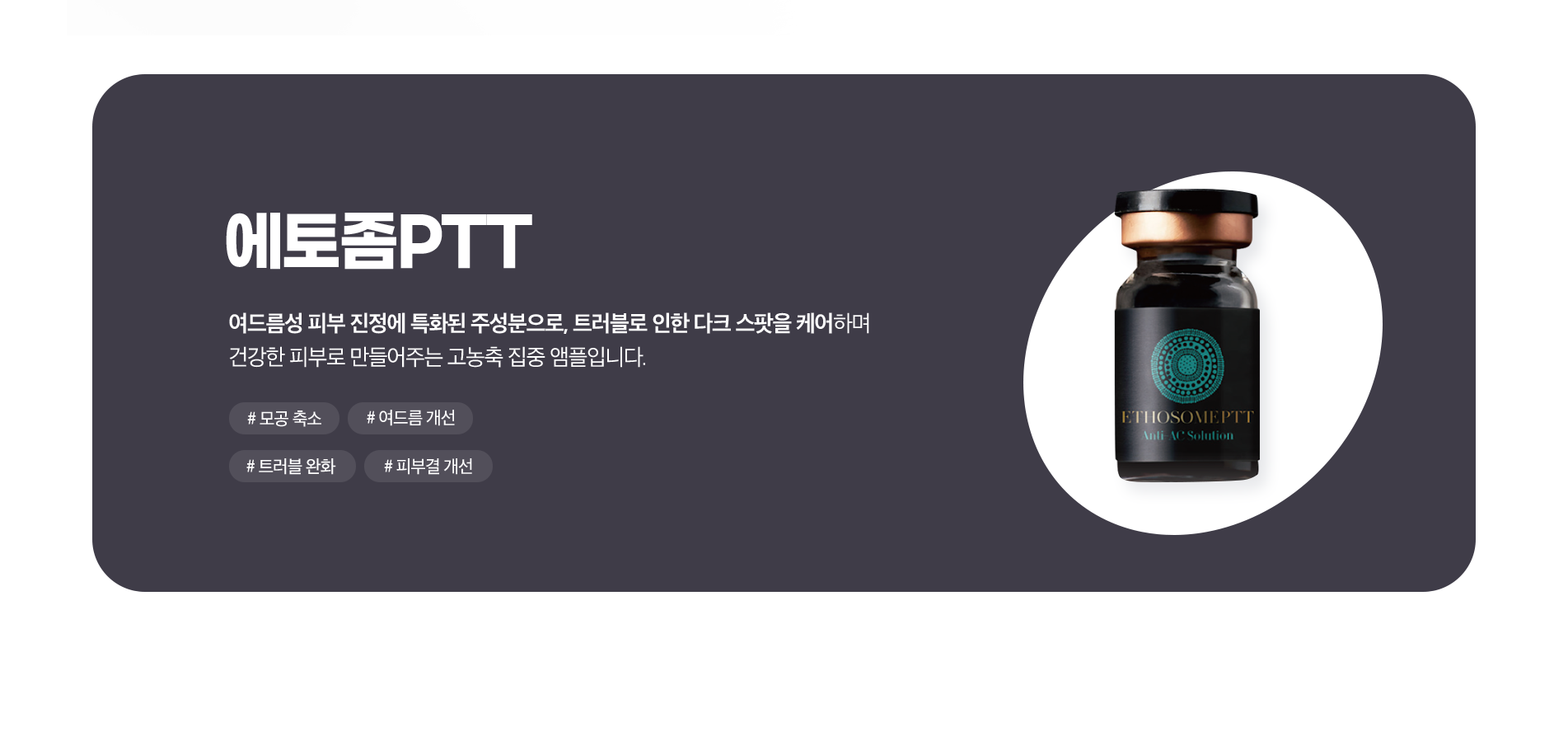 에토좀PTT