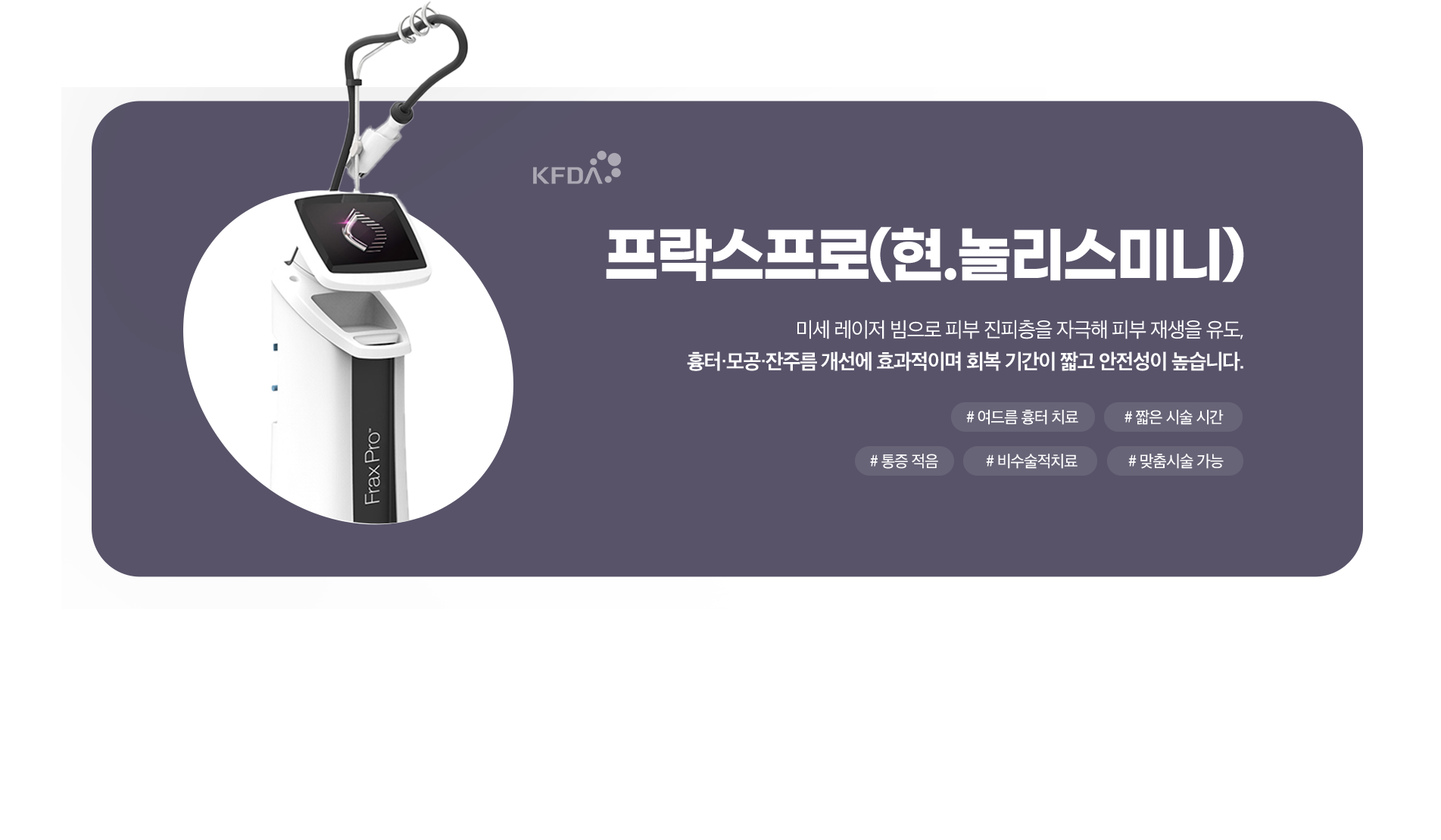 프락프로(현.놀리스미니)
