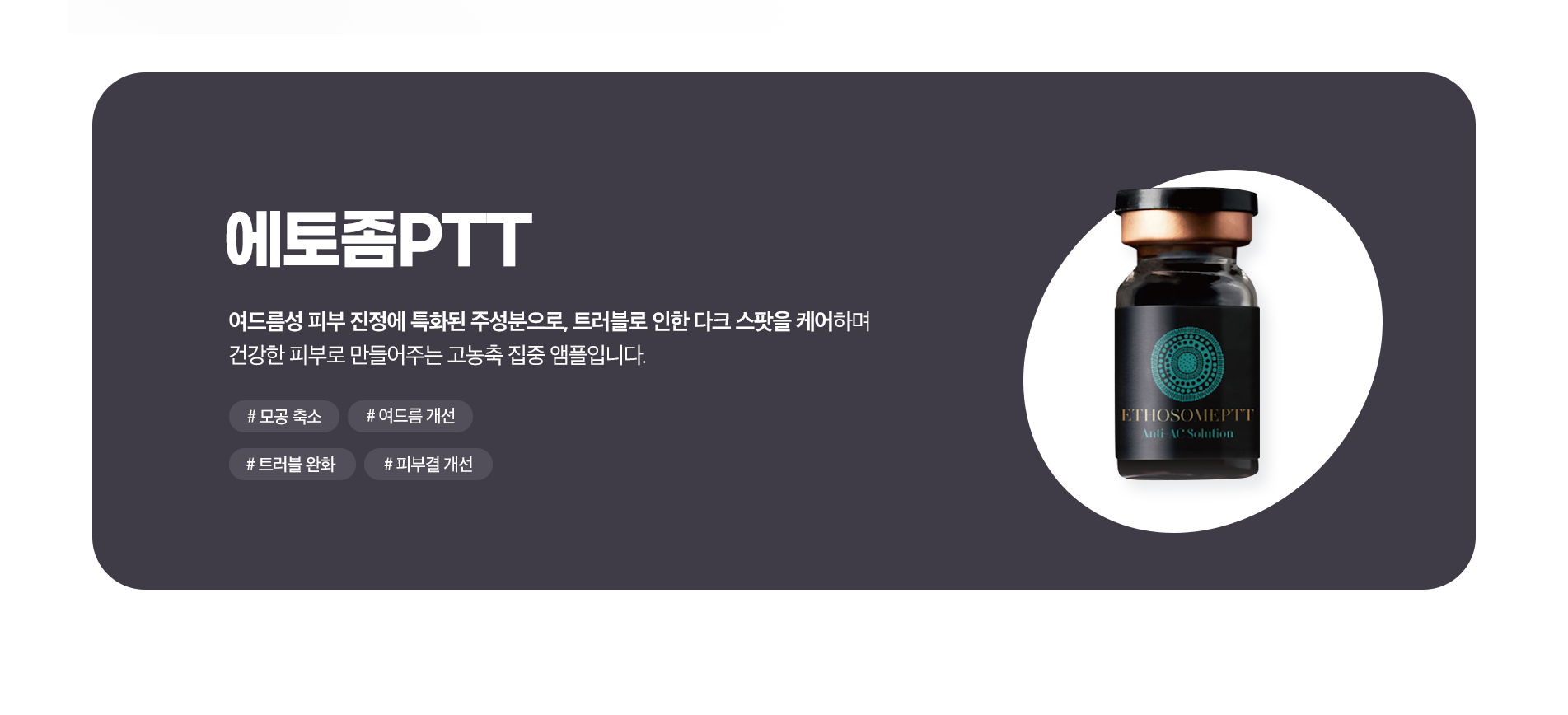 에토좀PTT