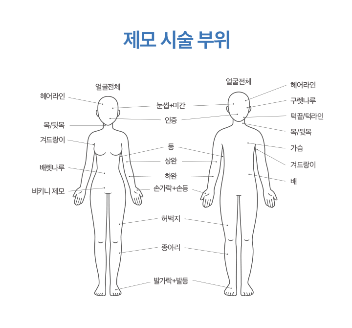 제모 시술 부위