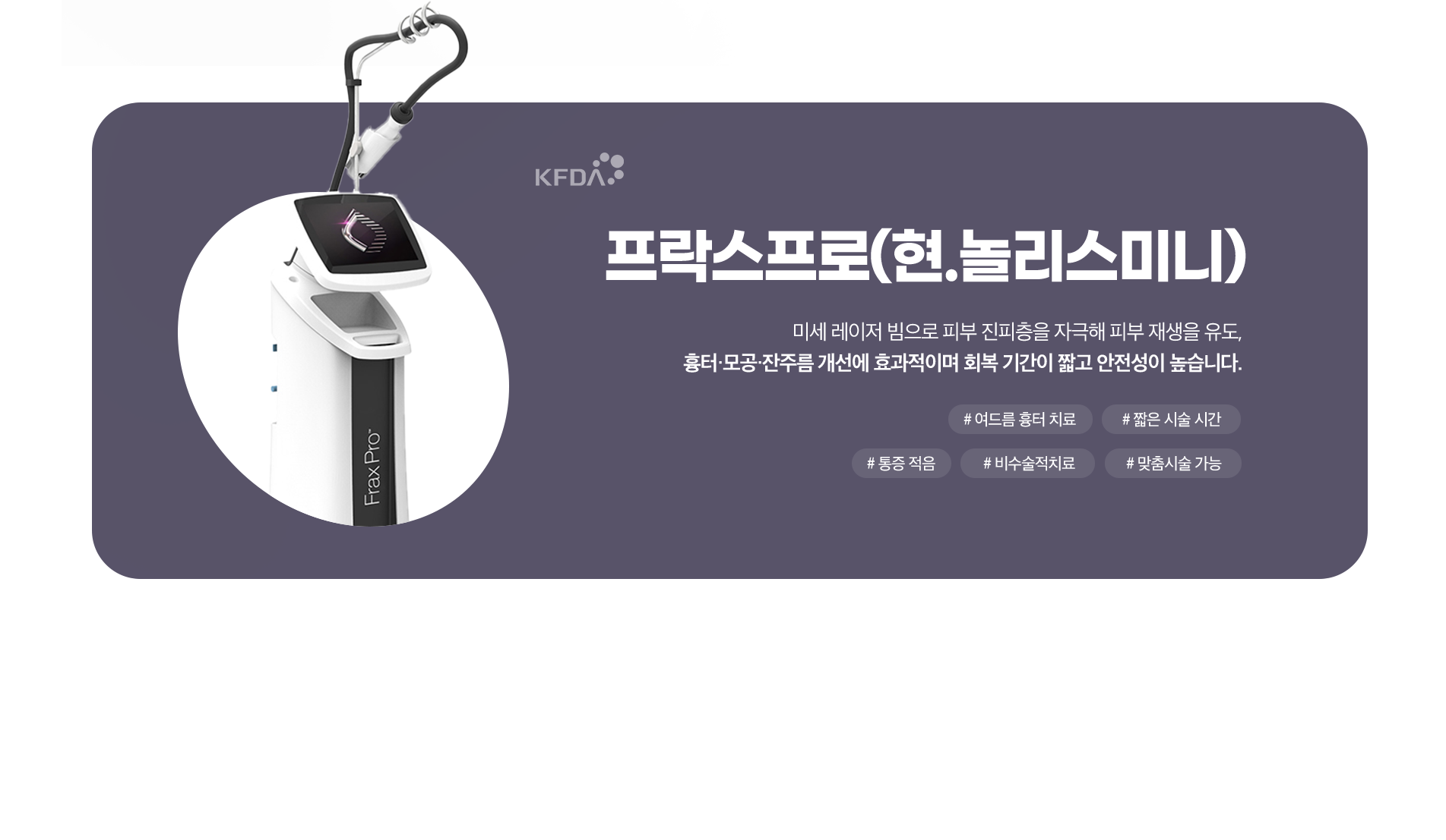 프락프로(현.놀리스미니)