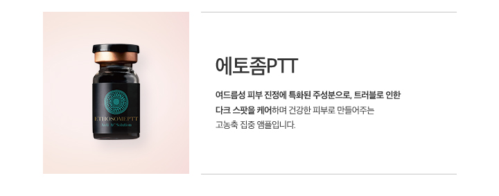 에토좀PTT