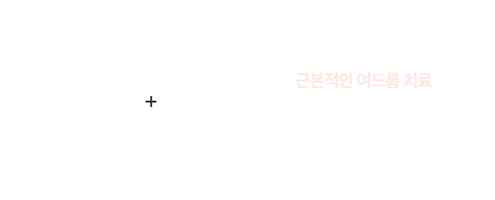 근본적인 여드름 치료